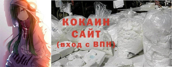 ПСИЛОЦИБИНОВЫЕ ГРИБЫ Гусев