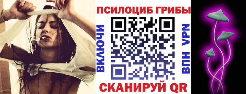 Псилоцибиновые грибы GOLDEN TEACHER  цены наркотик  Облучье 