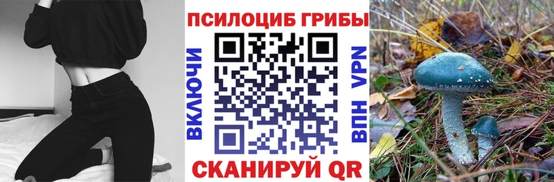 Псилоцибиновые грибы прущие грибы Облучье